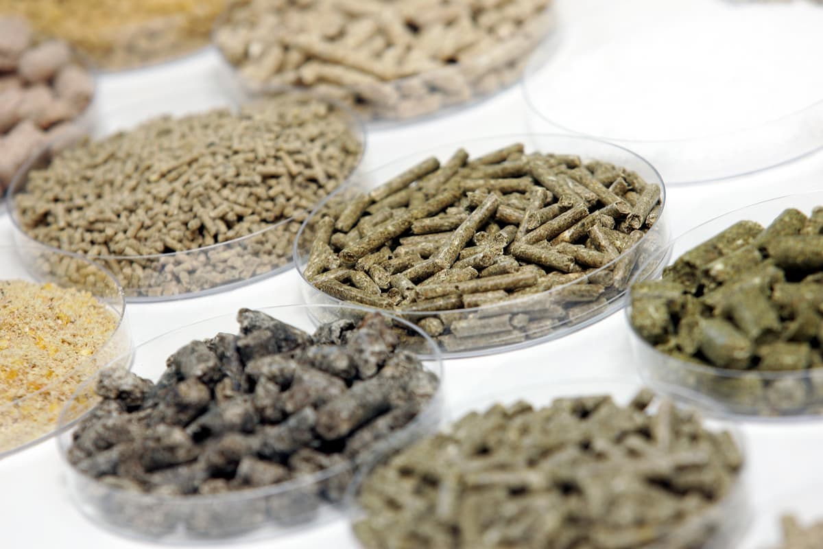 expertos en cuidado y alimentación animal en Noia