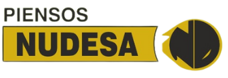 logo Nudesa